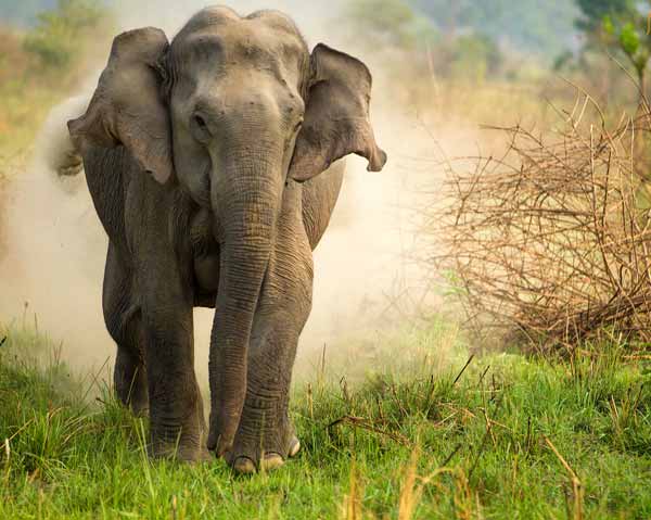 Nainital - Jim Corbett - Mussoorie